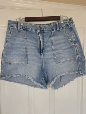 aerie Light Blue Frayed Hem Denim Shorts